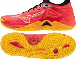 Mizuno WAVE MOMENTUM 3 V1GA231204 shoes