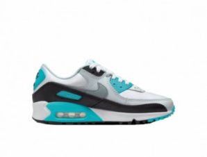 Nike Air Max 90 W FB8570101 shoes