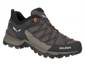 Salewa Mtn Trainer Lite GTX W 61362-7517 trekking shoes